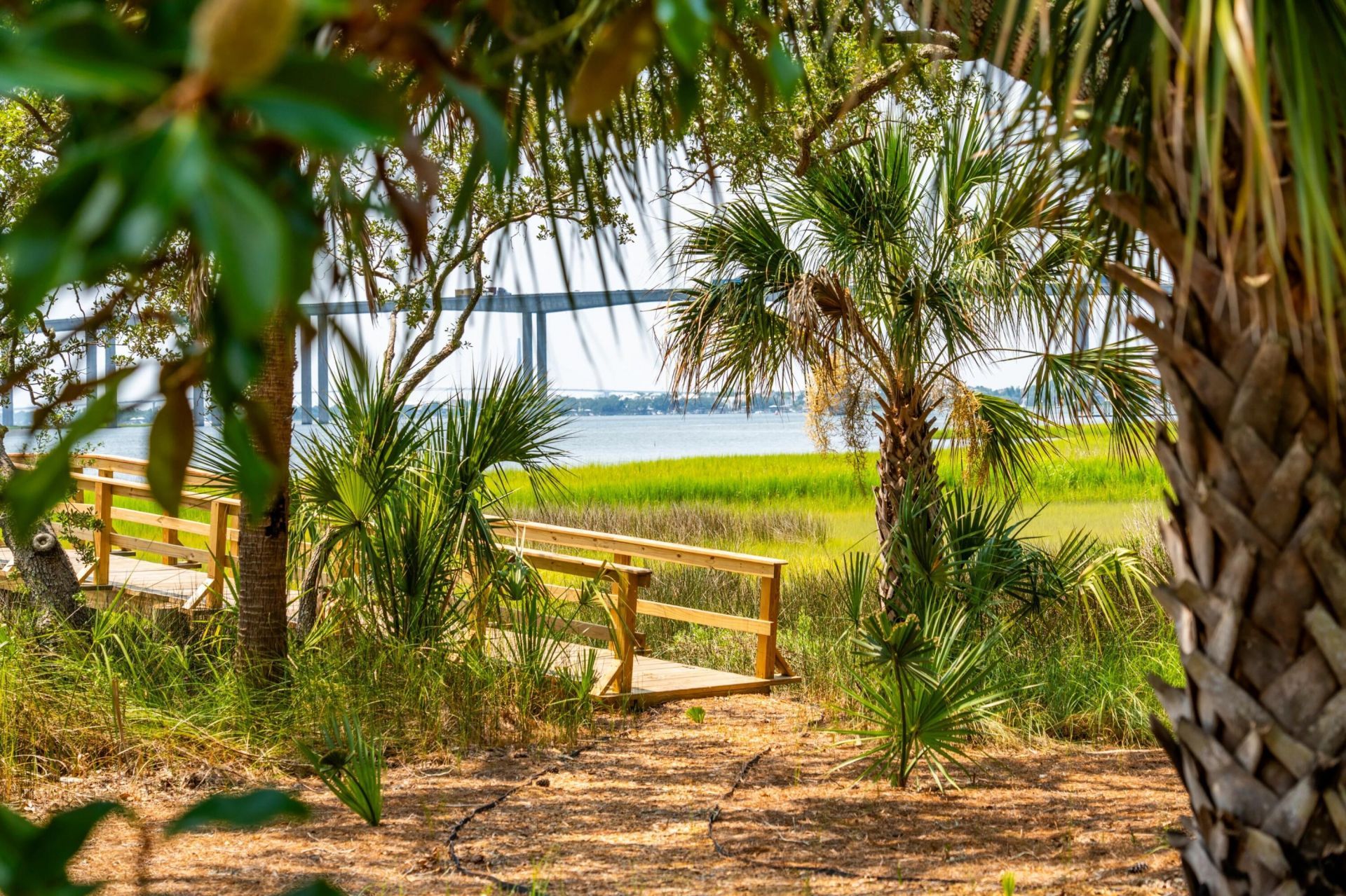 401 Wayfaring Point Photo 55