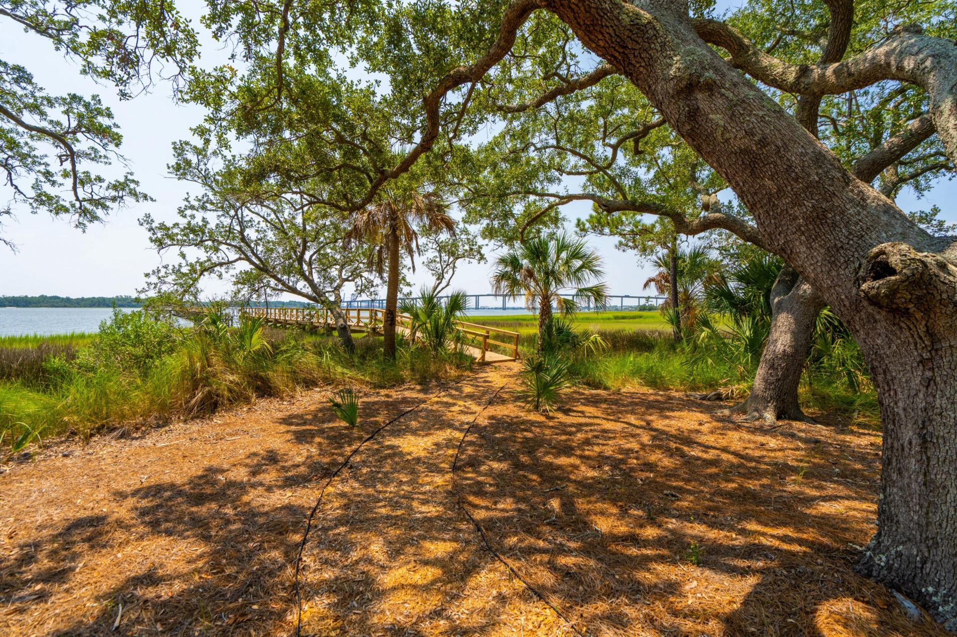 401 Wayfaring Point Photo 56