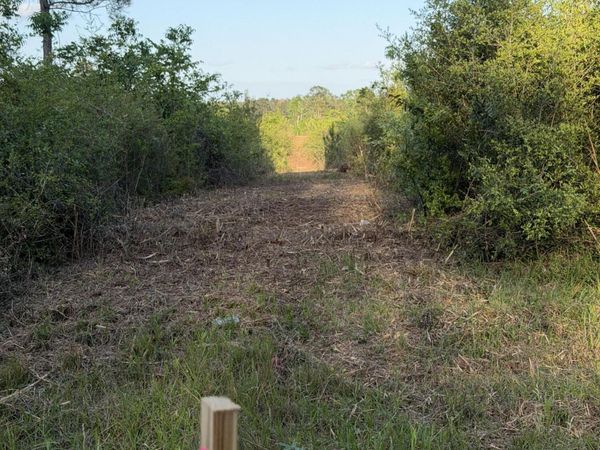 14.6 Acres Hwy 48 East, Sandy Hook, MS 39478