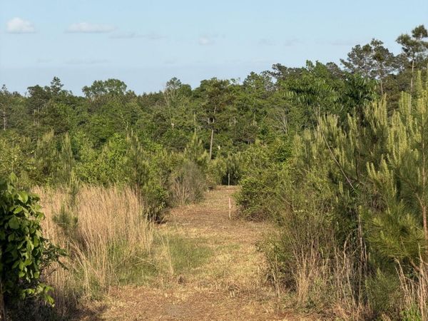 5 Acres Mt. Bethel Rd., Sandy Hook, MS 39478