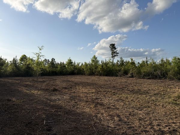 6.2 Acres Mt Bethel Rd., Sandy Hook, MS 39478