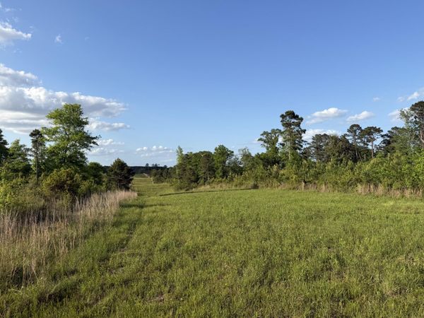 8 Acres Hwy 48 East, Sandy Hook, MS 39478