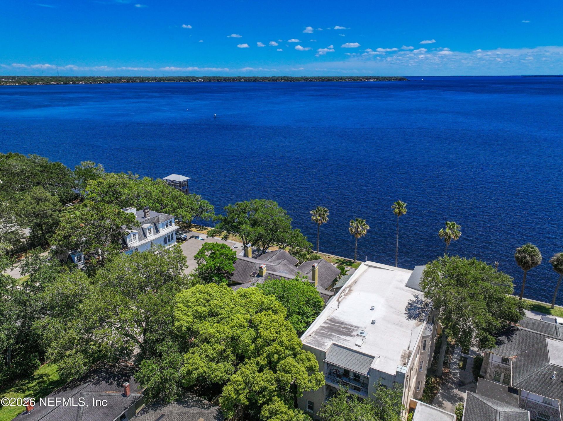 2117 River Boulevard, Jacksonville, FL 32204 Photo