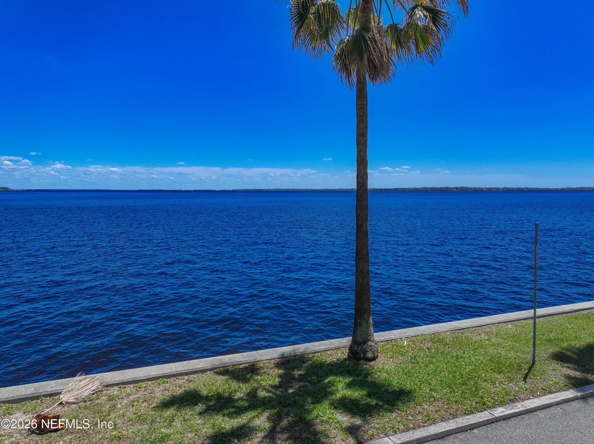2117 River Boulevard, Jacksonville, FL 32204 Photo