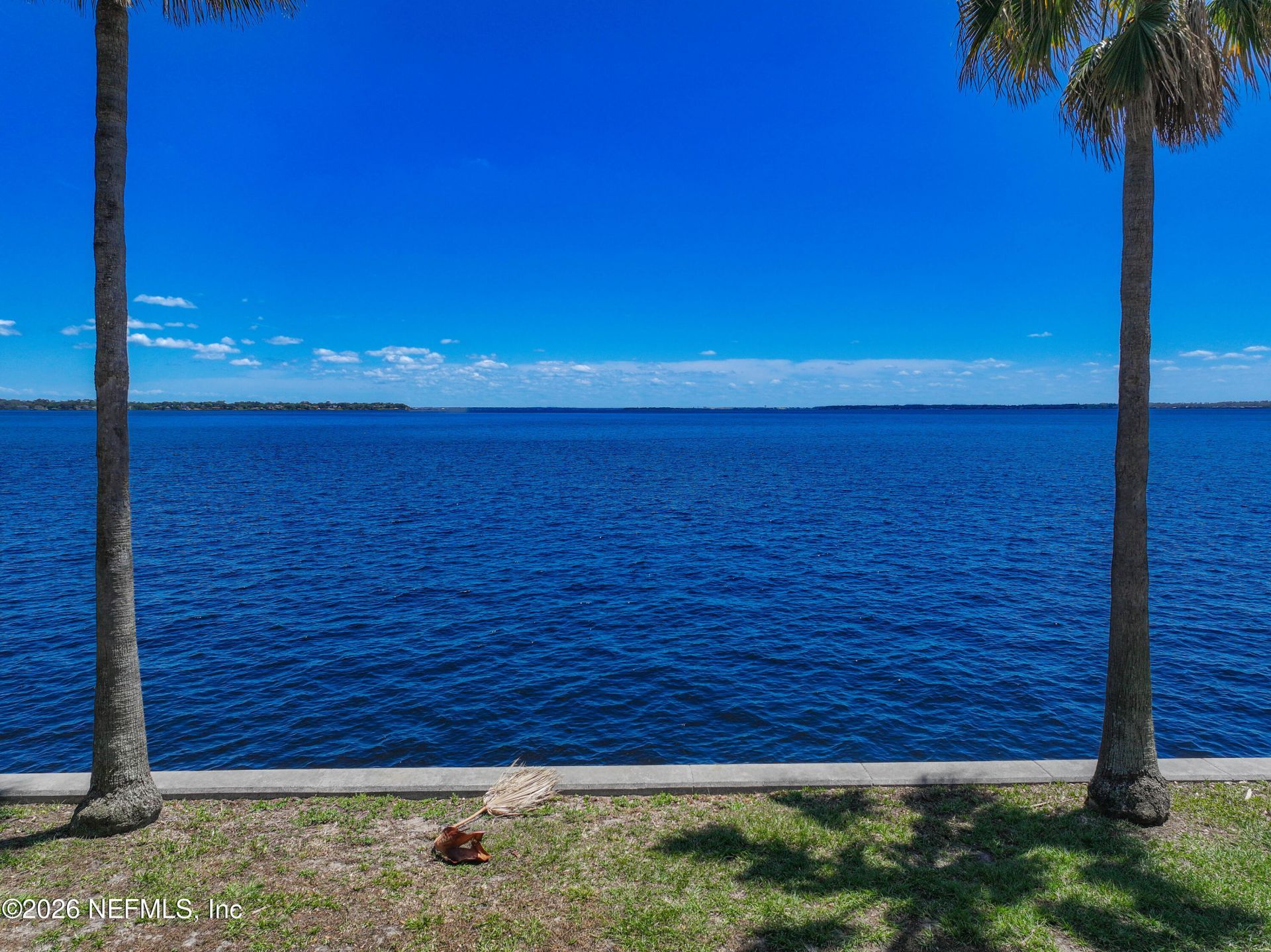 2117 River Boulevard, Jacksonville, FL 32204 Photo