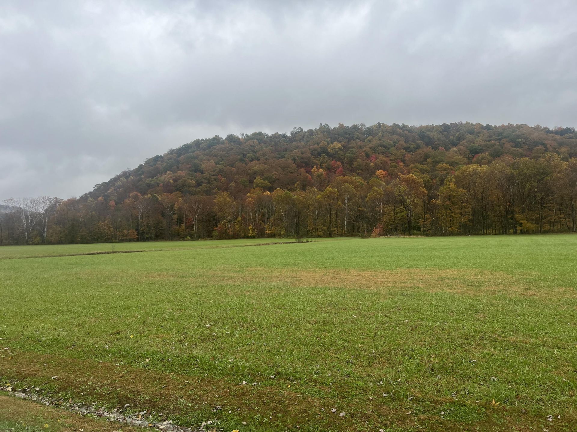 1037 Big Salt Lick Creek Road, Salt Lick, KY 40371