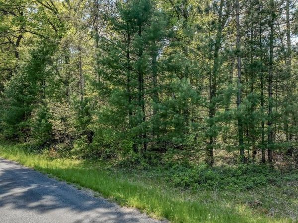 8667 LAKESIDE ROAD, Willard, WI 54493