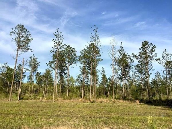 Merryville, LA 70653