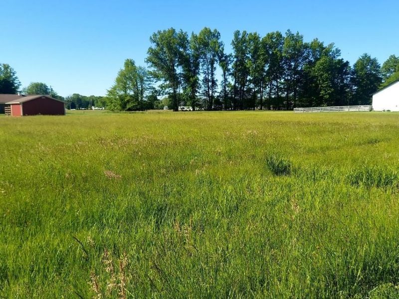 171 Black Hawk, Sardinia, OH 45171 Photo 3