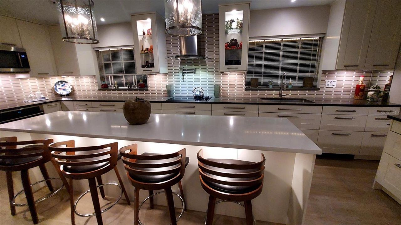 2308 Overlook Drive, Mount Dora, FL 32757 Photo
