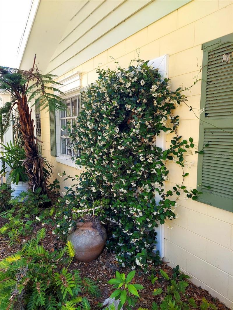 2308 Overlook Drive, Mount Dora, FL 32757 Photo