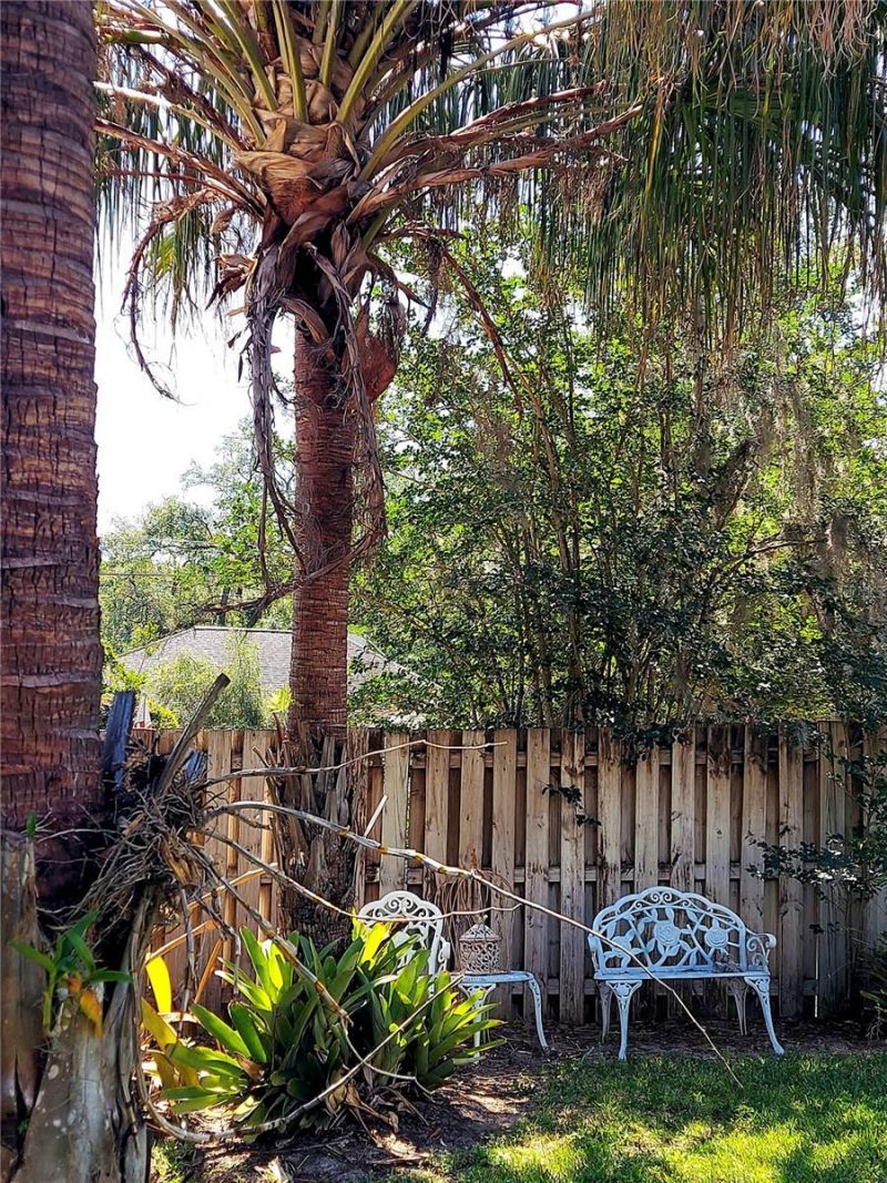 2308 Overlook Drive, Mount Dora, FL 32757 Photo