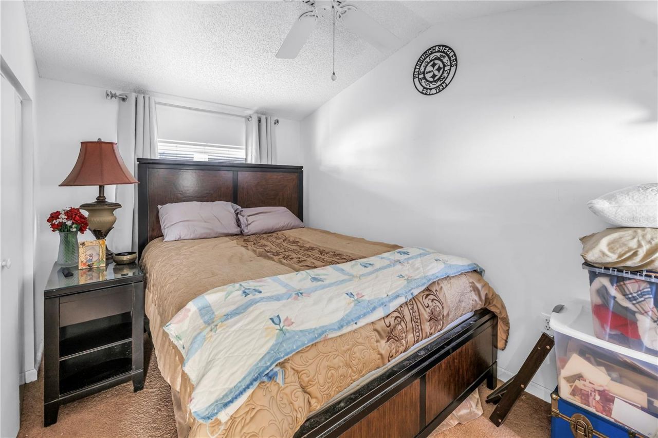 208 N Spring Boulevard, Tarpon Springs, FL 34689 Photo