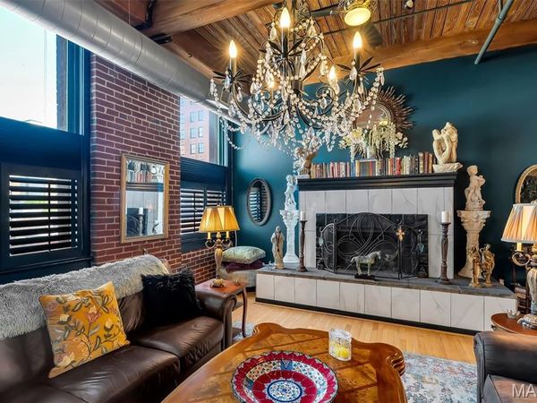 703 N 13th Street, Unit 207, St Louis, MO 63103