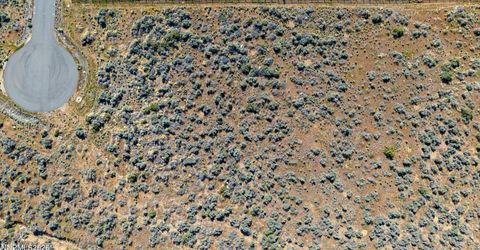 0 Ellireese Court, Washoe Valley, NV 89704 Photo