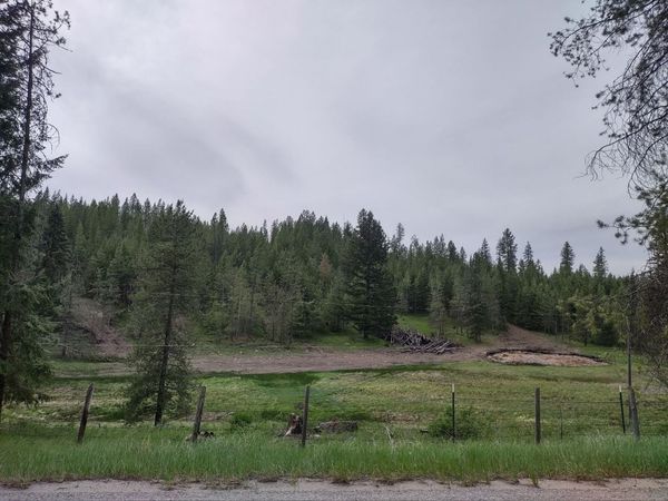 XX E Jump Off Rd, Valley, WA 99181