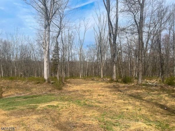 29 Twin Oaks Ln, Harding, NJ 07960