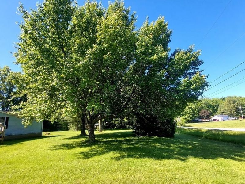 16214 Sams Dr, Williamsburg, OH 45176 Photo 5