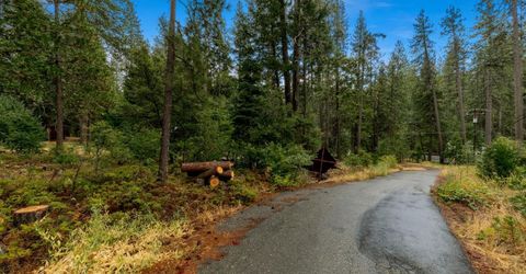 Sugar Loaf, Kyburz, CA 95720 Photo