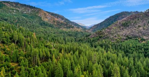 Sugar Loaf, Kyburz, CA 95720 Photo