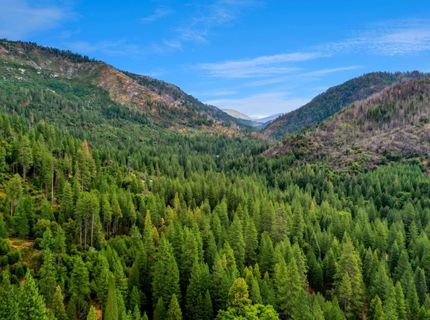 Sugar Loaf, Kyburz, CA 95720 Photo