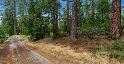 Sugar Loaf, Kyburz, CA 95720 Photo