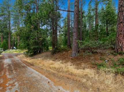 Sugar Loaf, Kyburz, CA 95720 Photo