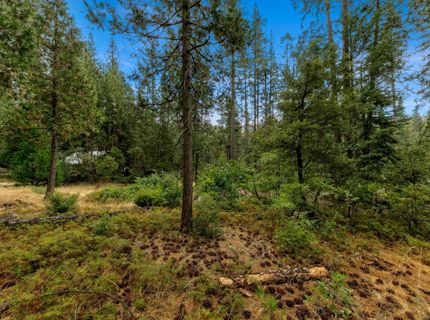 Sugar Loaf, Kyburz, CA 95720 Photo