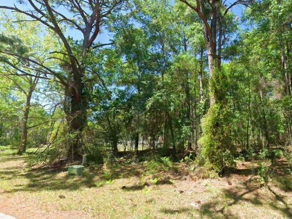 2581 W PHARAOH COURT , LECANTO, FL 34461