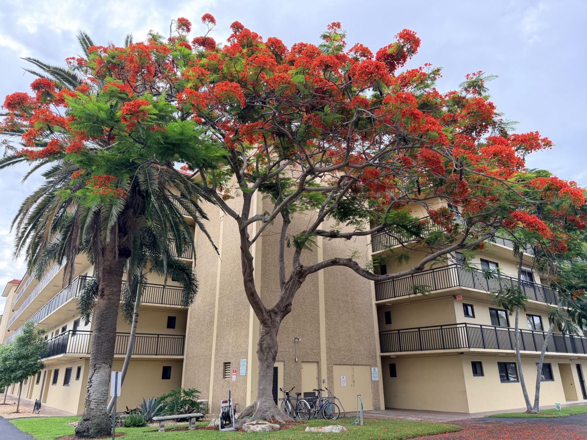 2601 NE 14th Street, Unit 535, Pompano Beach, FL 33062 Photo