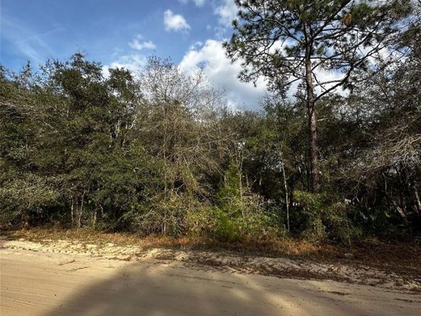 13-10-24-4079-0060-0040 , INTERLACHEN, FL 32148