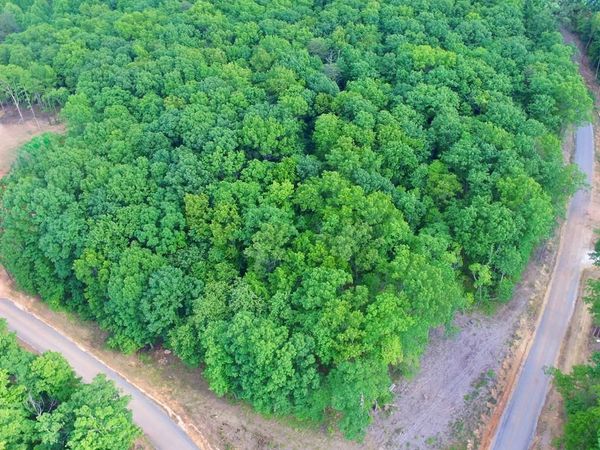 Lot 109 Bakers Terrace, Spencer, TN 38585
