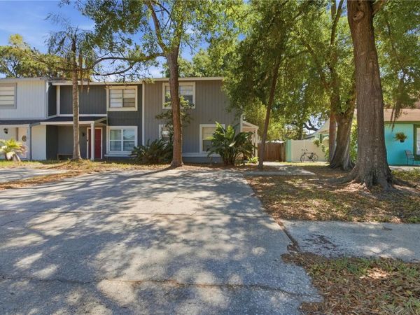 14113 VILLAGE TERRACE DRIVE, TAMPA, FL 33624