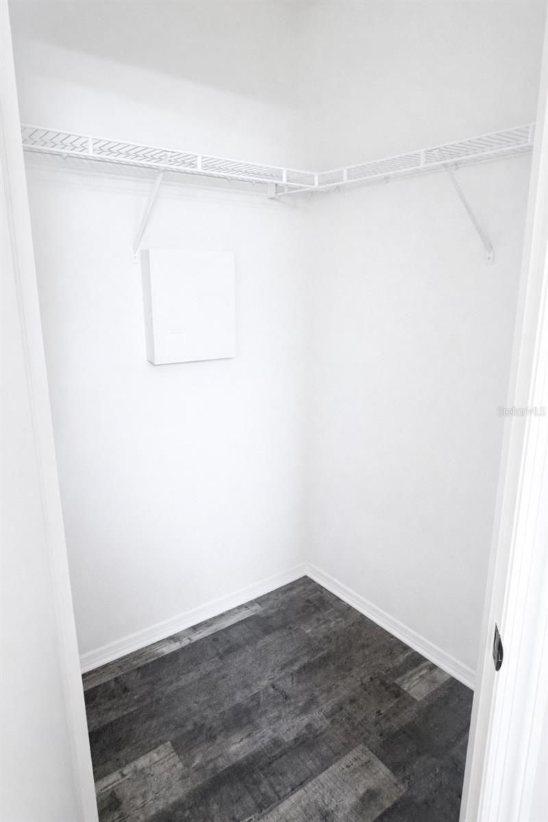 28202 Brokenmead Path, Wesley Chapel, FL 33543 Photo