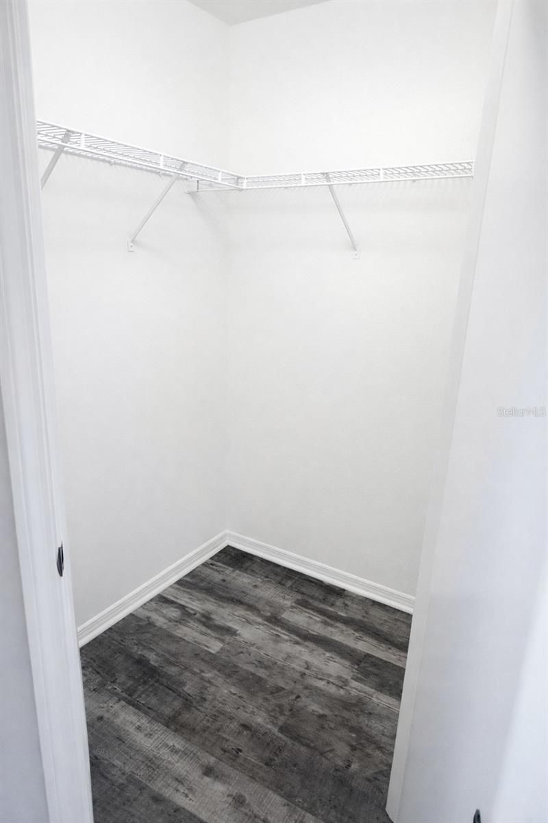 28202 Brokenmead Path, Wesley Chapel, FL 33543 Photo