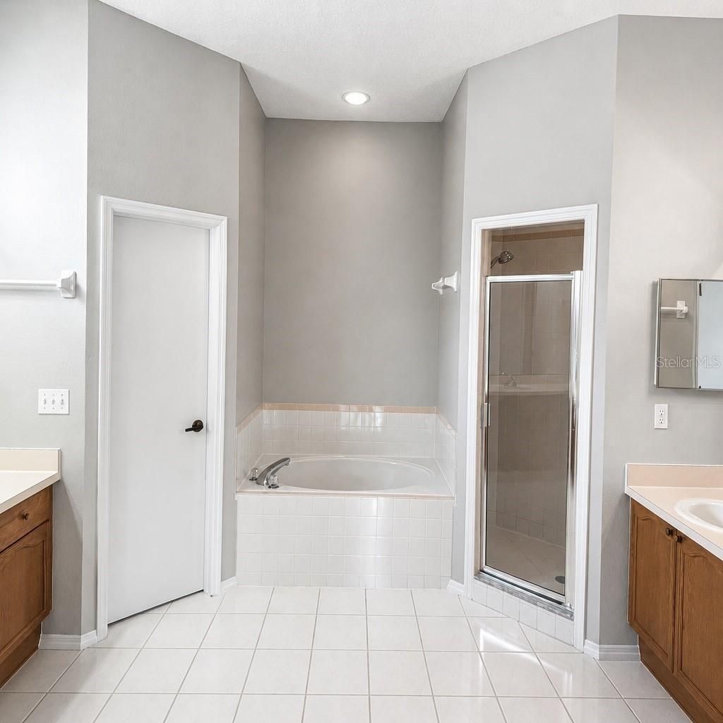 28202 Brokenmead Path, Wesley Chapel, FL 33543 Photo
