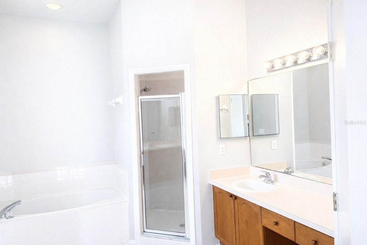 28202 Brokenmead Path, Wesley Chapel, FL 33543 Photo