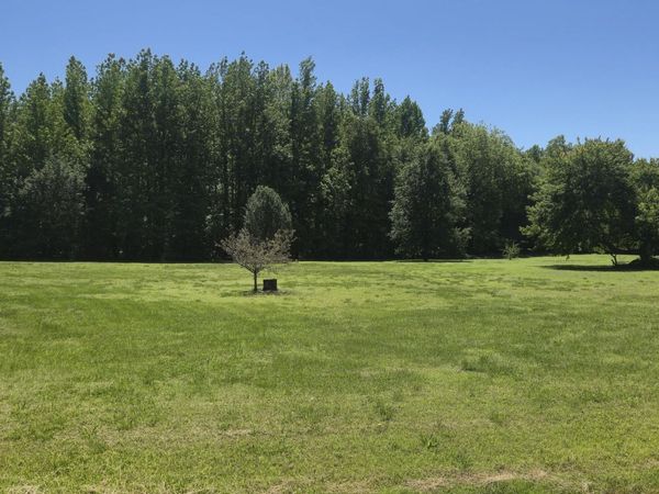 00 Pratt Circle , Lexington, TN 38351