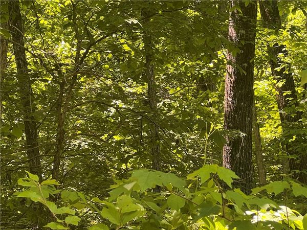 Terrapin Road , Harrison, AR 72601
