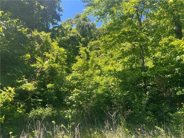 Terrapin Road , Harrison, AR 72601