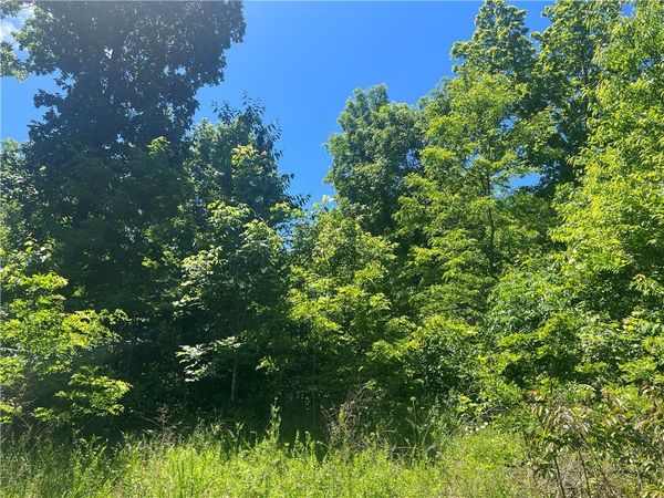 Terrapin Road , Harrison, AR 72601