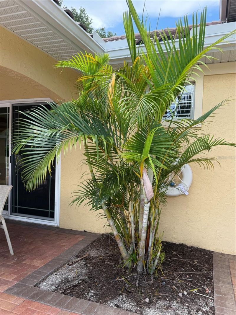 7171 Boca Grove Place, Unit 204, Lakewood Ranch, FL 34202 Photo