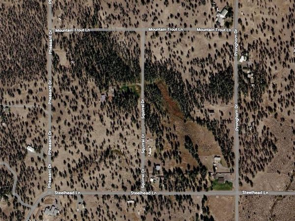 0 Pheasant Drive, Alturas, CA 96101