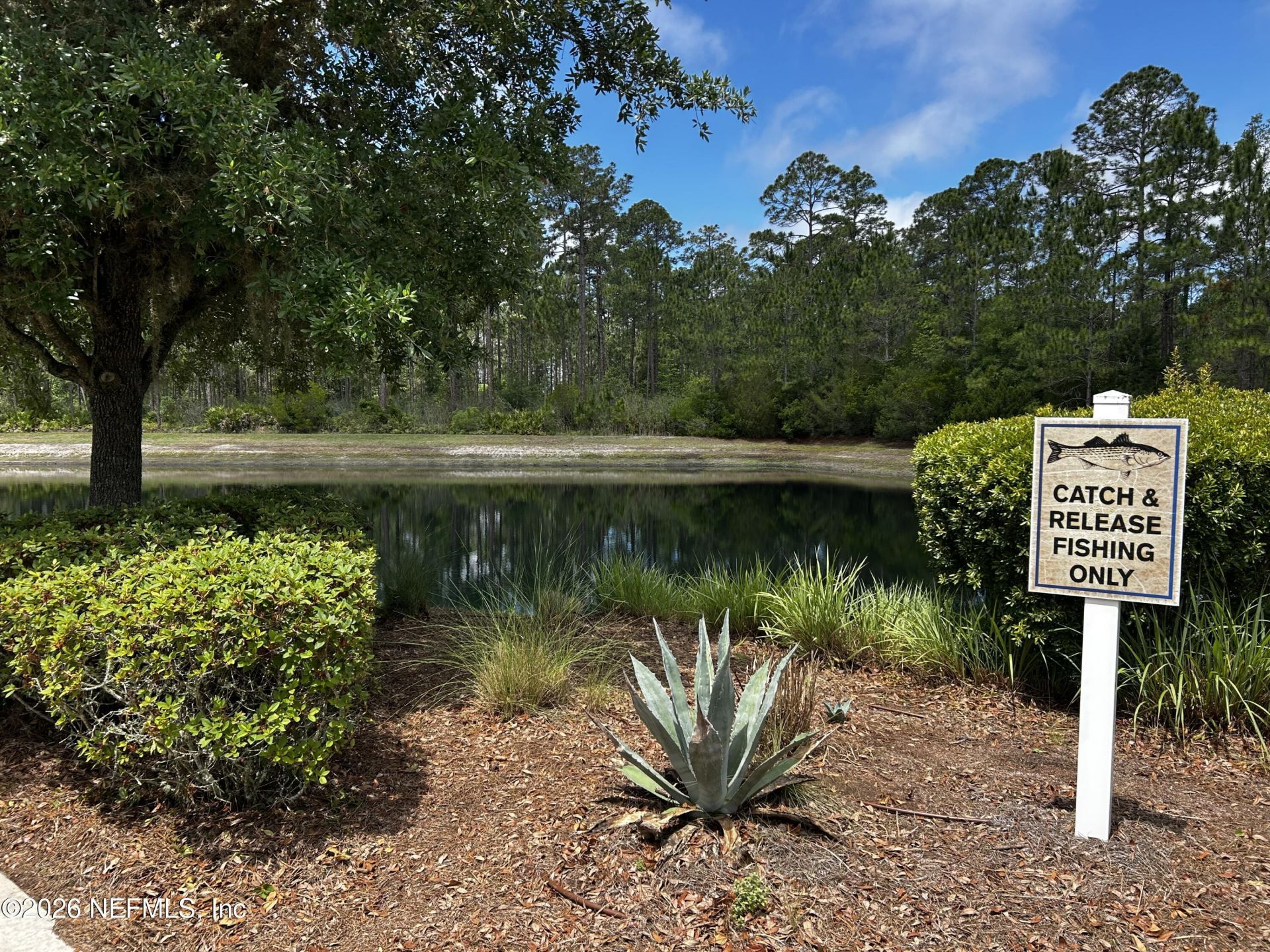 9845 Melrose Creek Drive, Jacksonville, FL 32222 Photo