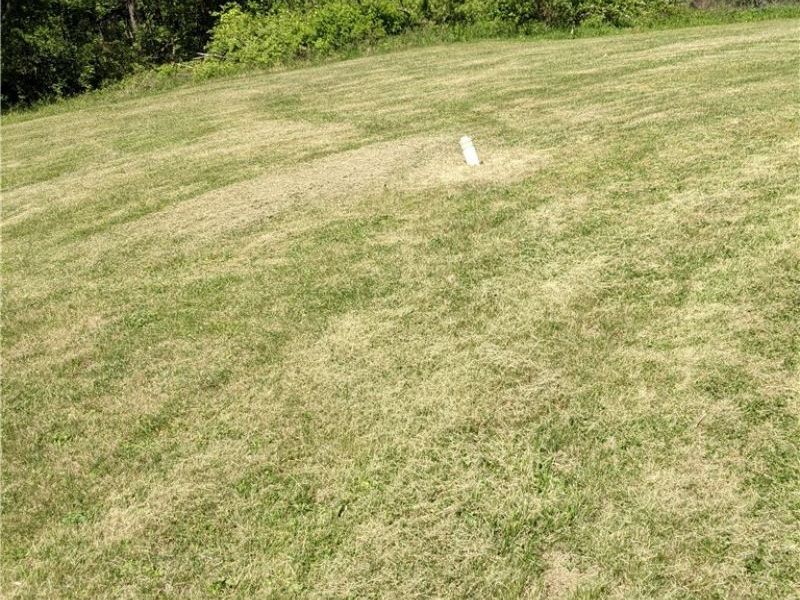 60004 Ramsey Ridge Road, Jacobsburg, OH 43933 Photo 33