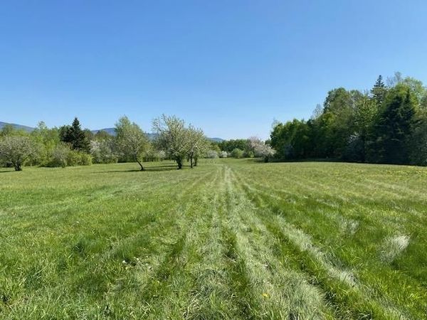 Off Reed Road, Colebrook, NH 03576