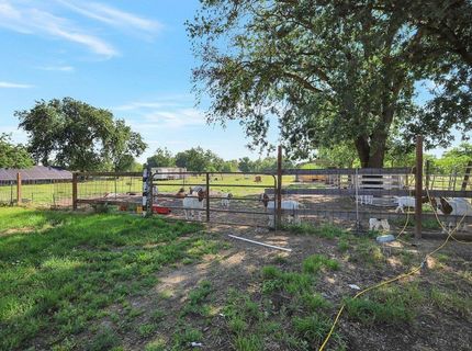 1122 French St, Gridley, CA 95948 Photo