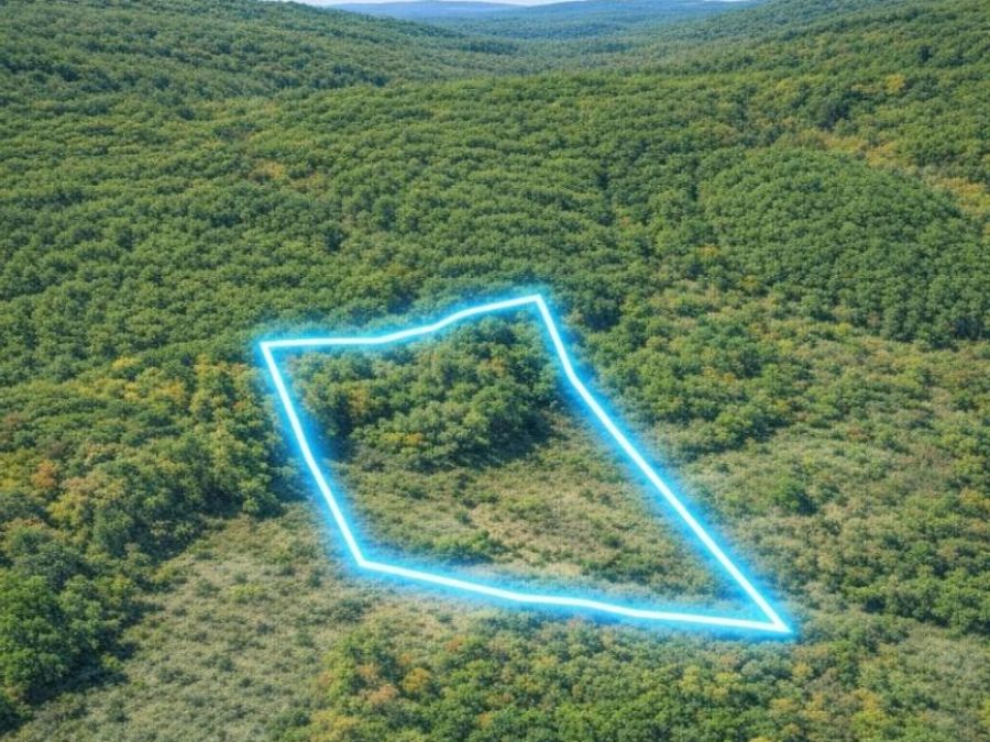 Property Image 8