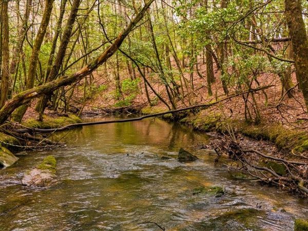 0 Timberwood Trce , Monteagle, TN 37356
