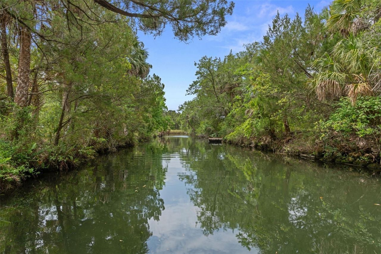 2272 S Todd Point, Homosassa, FL 34448 Photo